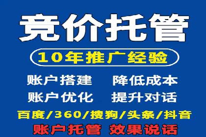 专业sem托管服务案例，揭秘广告投放优化策略